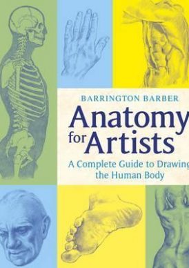 Anatomy for artists - A complete guide to drawing the human body