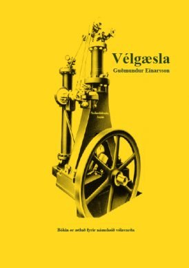 Vélgæsla