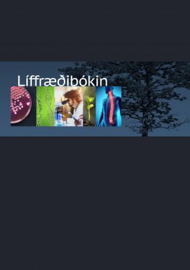 VEFBÓK - Líffræðibókin
