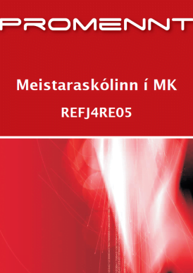 Meistaraskólinn í MK (rekstur og fjármál)